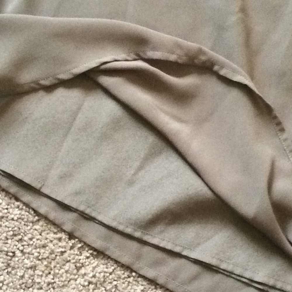Naked Zebra Taupe Shift Dress - Picture 6 of 6